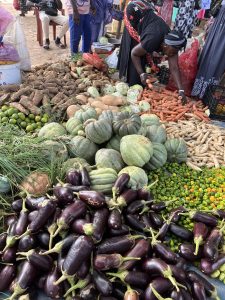 Un étal de marché en plein air présente une grande variété de légumes et de racines. Au premier plan, des aubergines violettes sont alignées. Derrière, on voit des courges vertes, des piments, des carottes, ainsi que d’autres tubercules. Une femme africaine est penchée au-dessus de l’étal, en train de servir ou de choisir les produits. Autour, d’autres vendeurs et passants se déplacent. L’ambiance reflète l’abondance, le travail et la vie quotidienne d’un marché villageois animé.