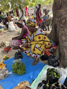 Plusieurs femmes africaines sont assises à l’ombre d’un grand arbre dans un marché en plein air. Elles portent des tenues colorées à motifs traditionnels. Devant elles, une bâche bleue recouvre le sol et sert de table pour vendre des légumes et des herbes fraîches. On distingue notamment des piments verts, des aubergines et des feuilles de plantes. Autour, d’autres vendeurs et passants circulent. Des vêtements sont étendus en arrière-plan, et l’atmosphère évoque un marché villageois animé, chaleureux et vivant.