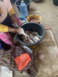 Une femme africaine est assise au sol et nettoie des poissons à la main. Devant elle, un grand seau noir est rempli de poissons et de restes de préparation. Autour, on voit plusieurs bassines en plastique, une bouteille d’eau, un tissu posé sur le sol et des ustensiles simples. La scène se déroule dans un espace modeste, probablement une cour ou un lieu de préparation alimentaire. L’image montre un geste quotidien, précis et nécessaire.